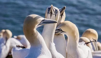 万向娱乐官网-王宝山：现在泰达是最好的状态 会全力以赴战苏宁